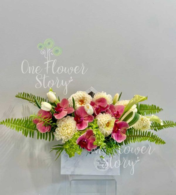 Arrangements 004